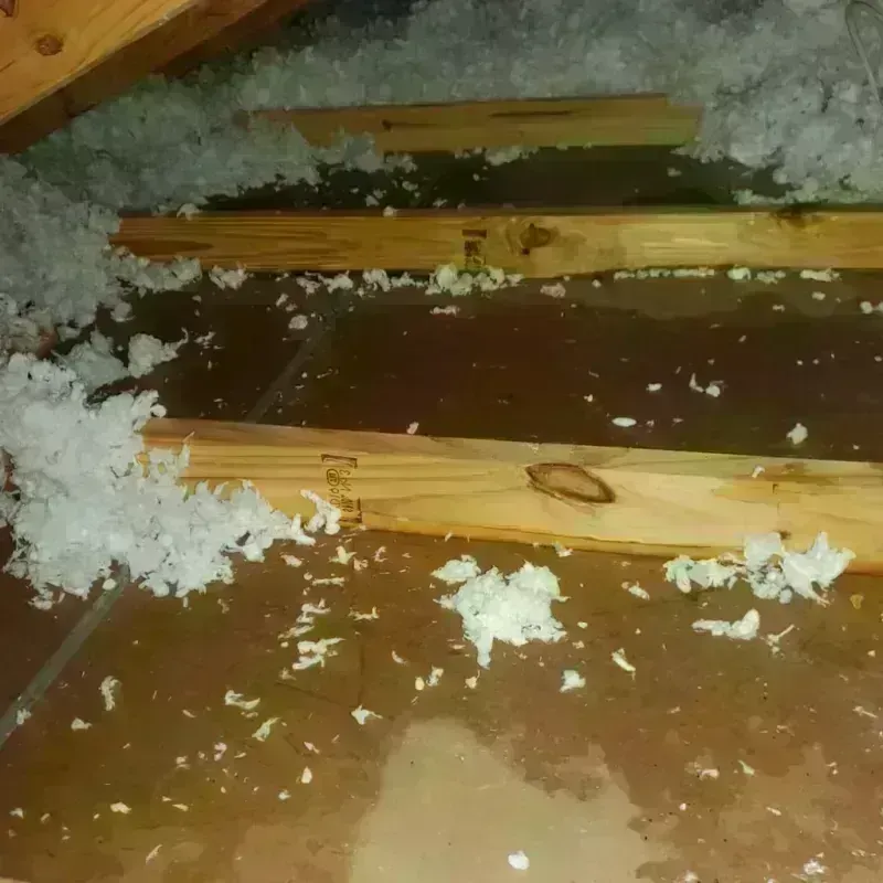 Attic Water Damage in Sanders County, MT