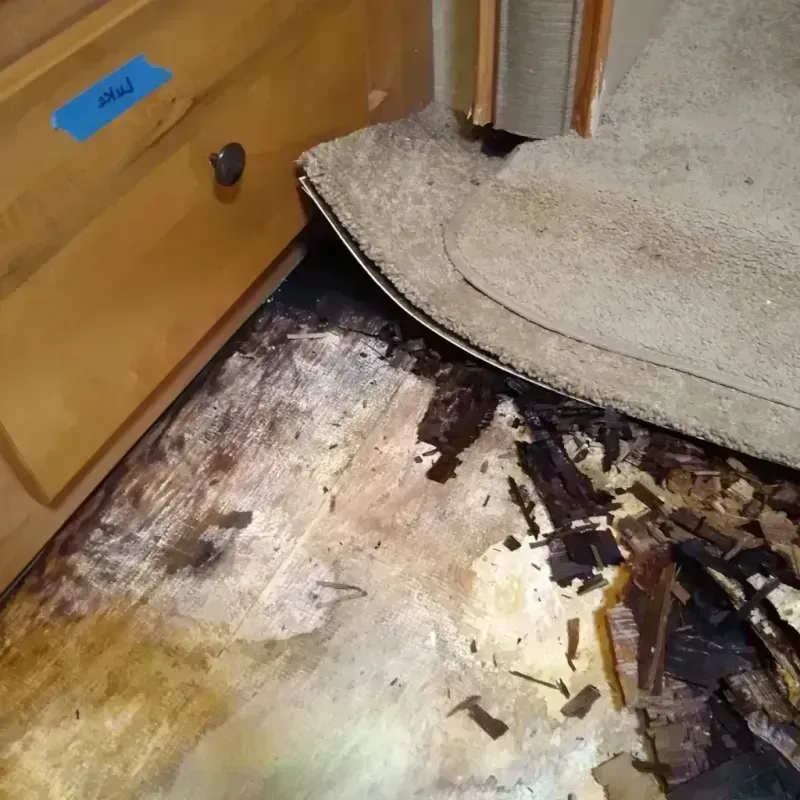 Wood Floor Water Damage in Sanders County, MT